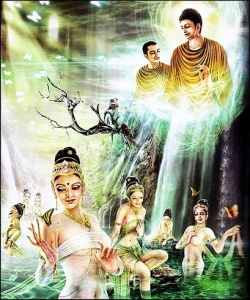 Nanda Thera's Inability to Concentrate
